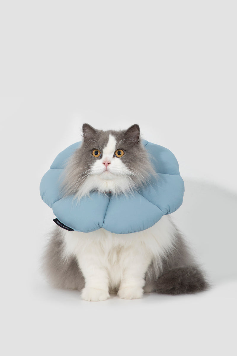 HiDREAM Floral Dog & Cat Elizabethan Collar
