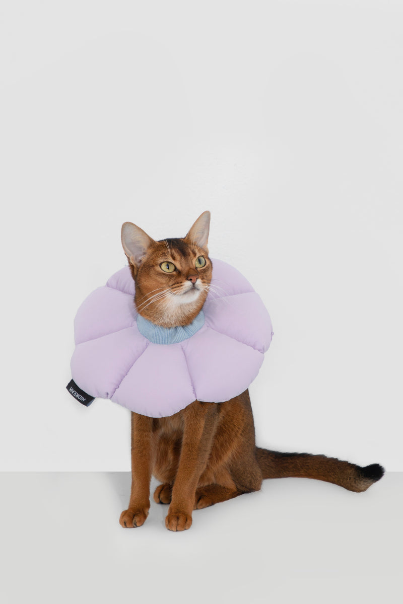 HiDREAM Floral Dog & Cat Elizabethan Collar