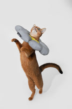 HiDREAM Floral Dog & Cat Elizabethan Collar