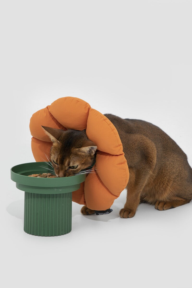 HiDREAM Floral Dog & Cat Elizabethan Collar