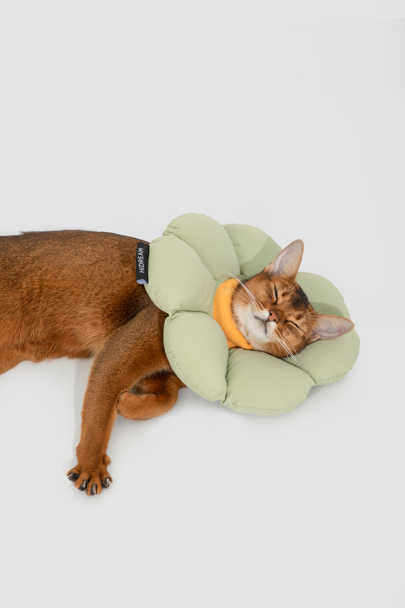 HiDREAM Floral Dog & Cat Elizabethan Collar