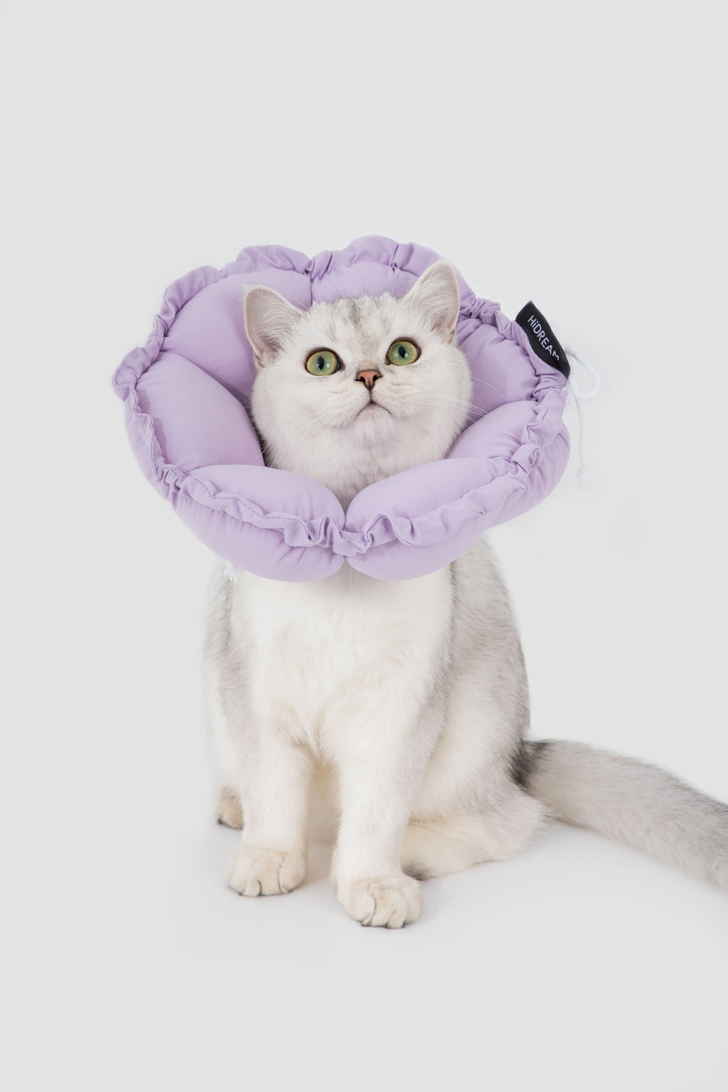 HiDREAM Floral Pro Dogs & Cats Elizabethan Collar