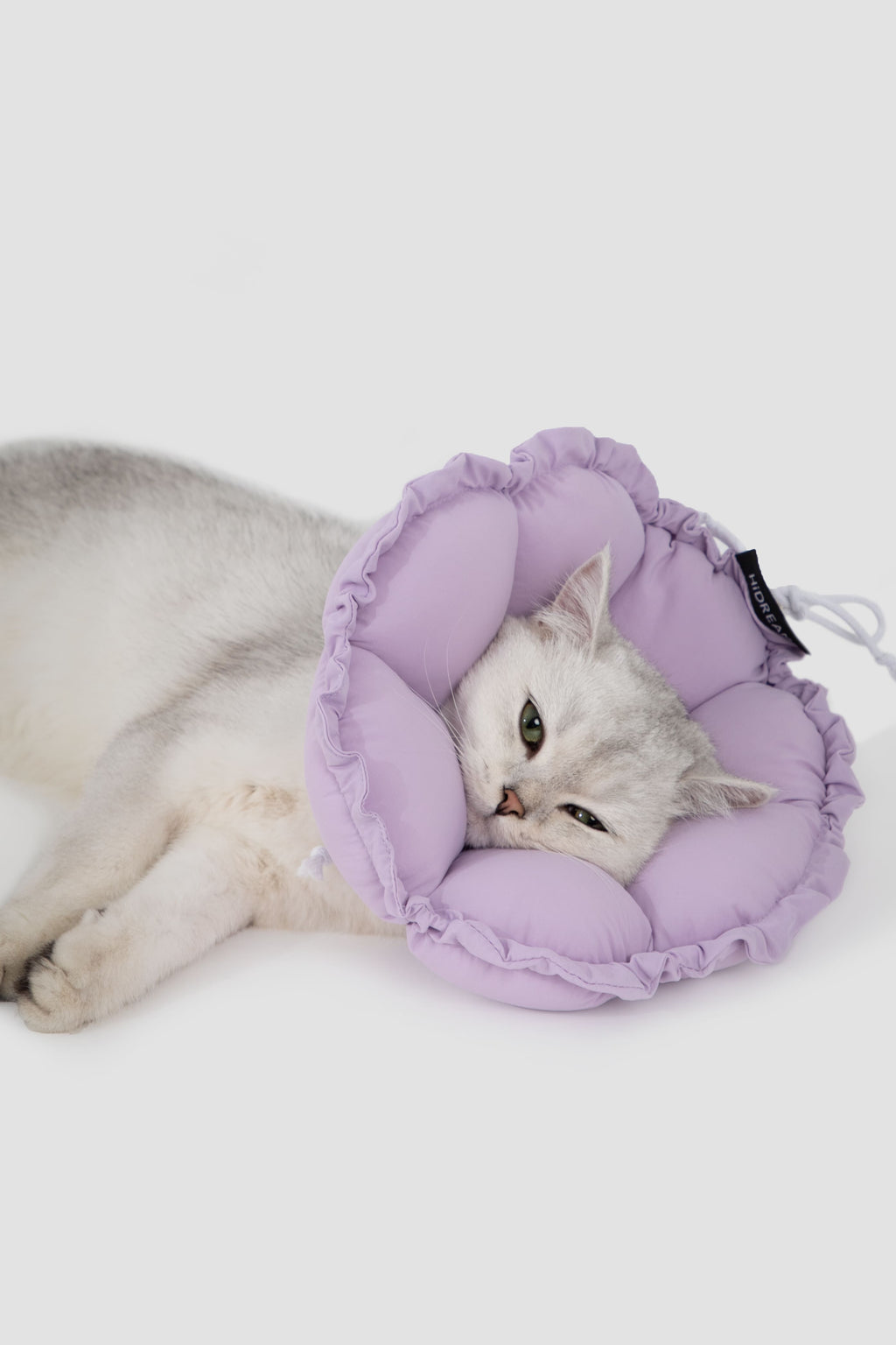 HiDREAM Floral Pro Dogs & Cats Elizabethan Collar