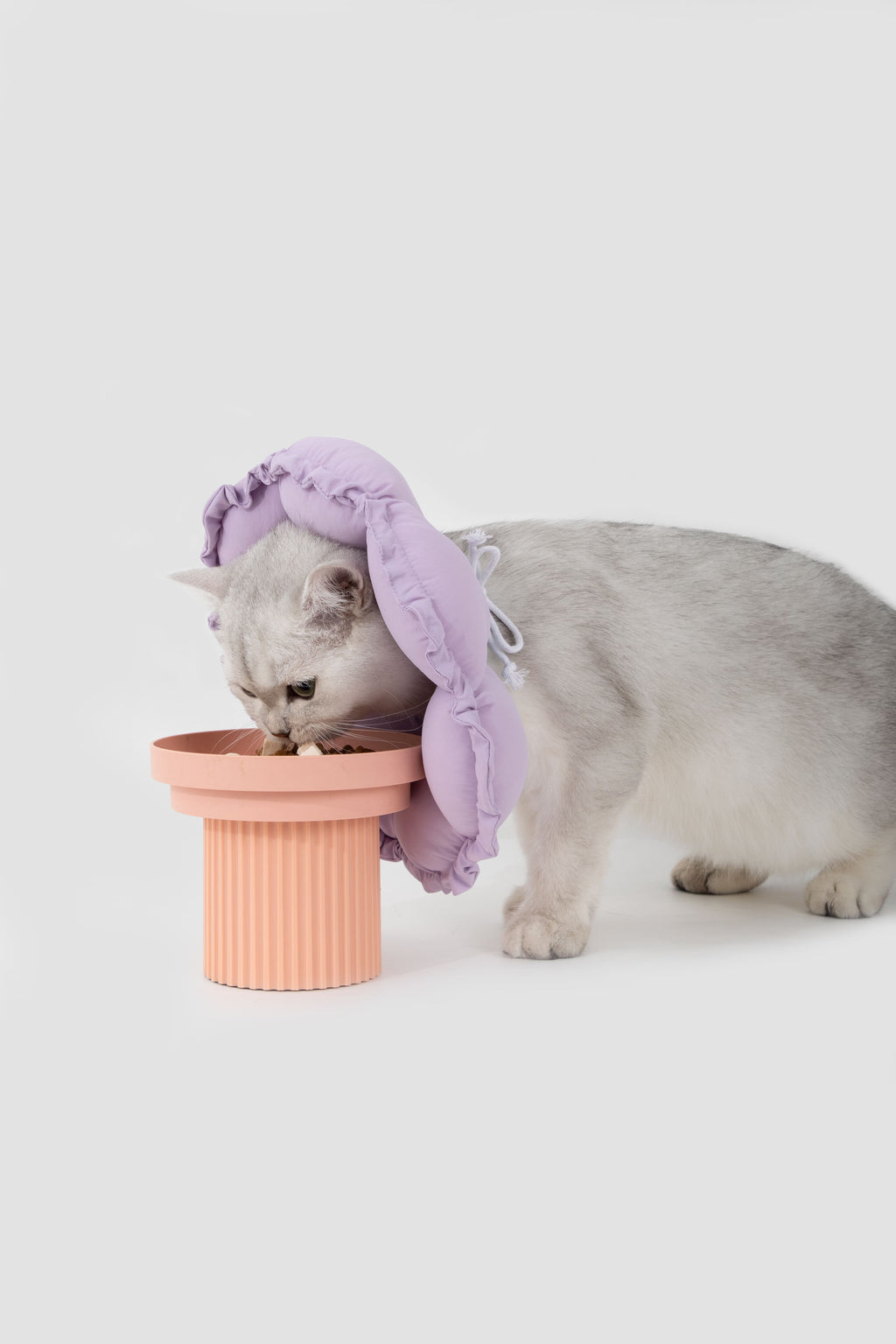 HiDREAM Floral Pro Dogs & Cats Elizabethan Collar