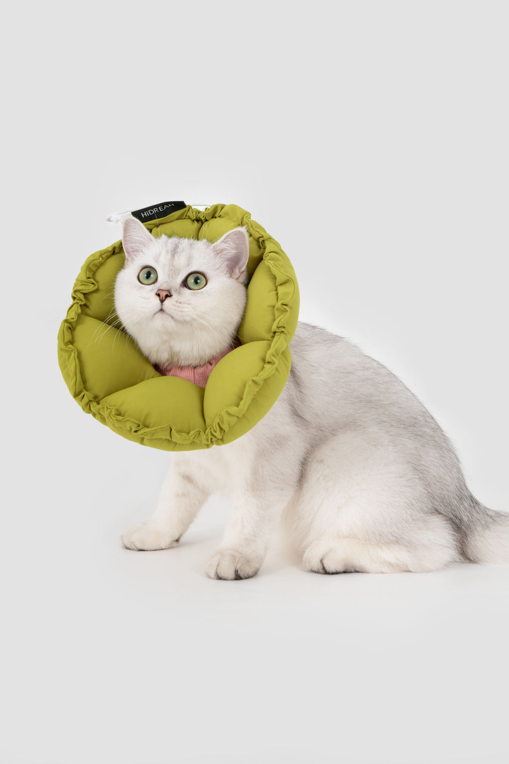 HiDREAM Floral Pro Dogs & Cats Elizabethan Collar