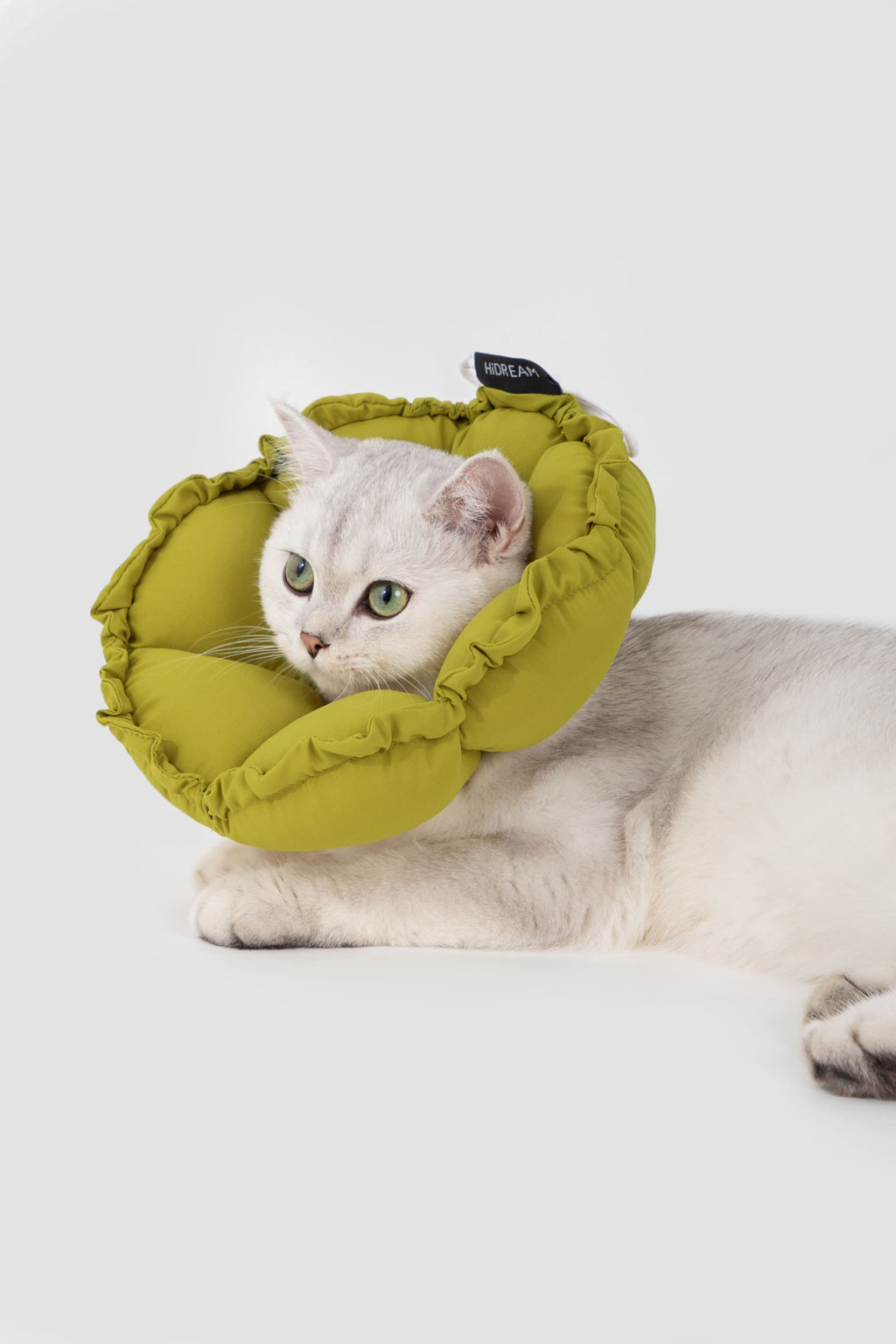 HiDREAM Floral Pro Dogs & Cats Elizabethan Collar