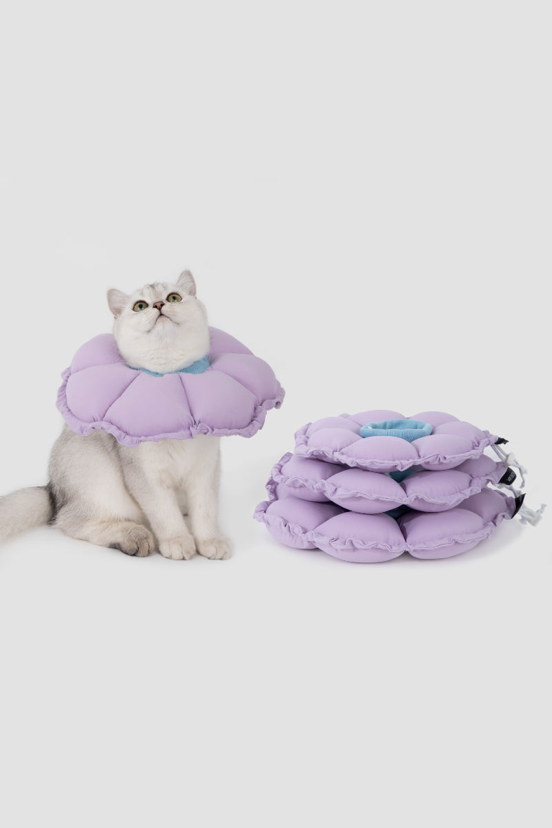 HiDREAM Floral Pro Dogs & Cats Elizabethan Collar
