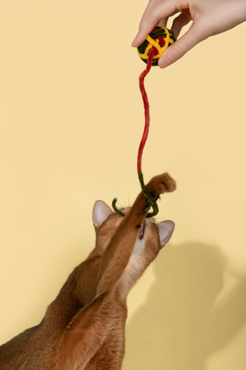 HiDREAM Handcrafted Fuzzy Yarn Ball Cat Toy with Bell 9-Pcs