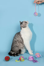 HiDREAM Handcrafted Fuzzy Yarn Ball Cat Toy with Bell 9-Pcs