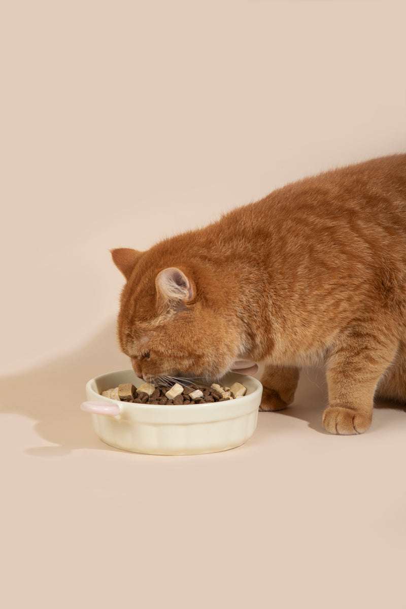 HiDREAM Little Ears Ceramic Dog & Cat Bowl