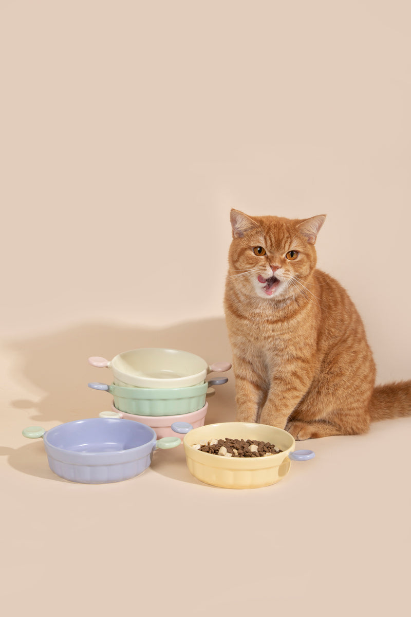HiDREAM Little Ears Ceramic Dog & Cat Bowl