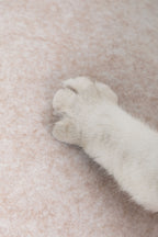 HiDREAM Egg Tart Multi-Functional Cat Bed