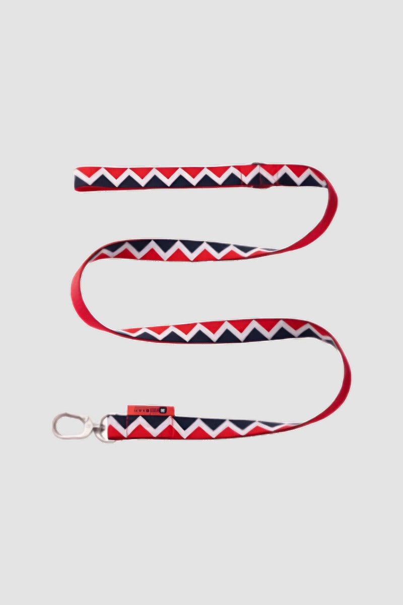 Laisse pour chien HiDREAM Rainbow avec anneau en D