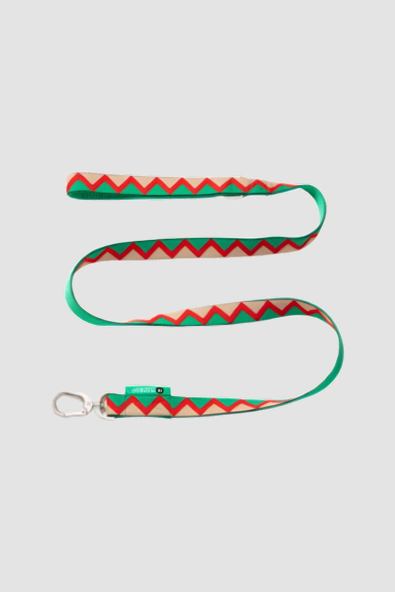 Laisse pour chien HiDREAM Rainbow avec anneau en D