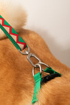 HiDREAM Rainbow D-Ring Dog Leash