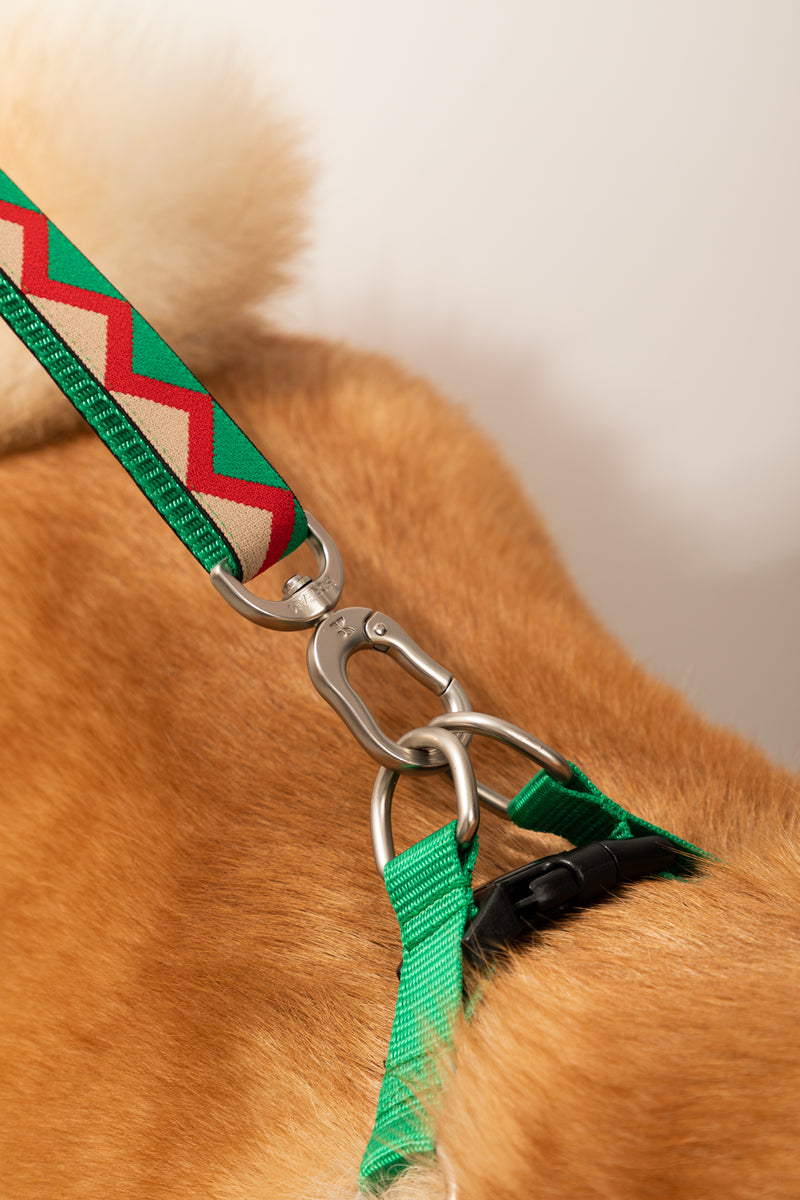 HiDREAM Rainbow D-Ring Dog Leash