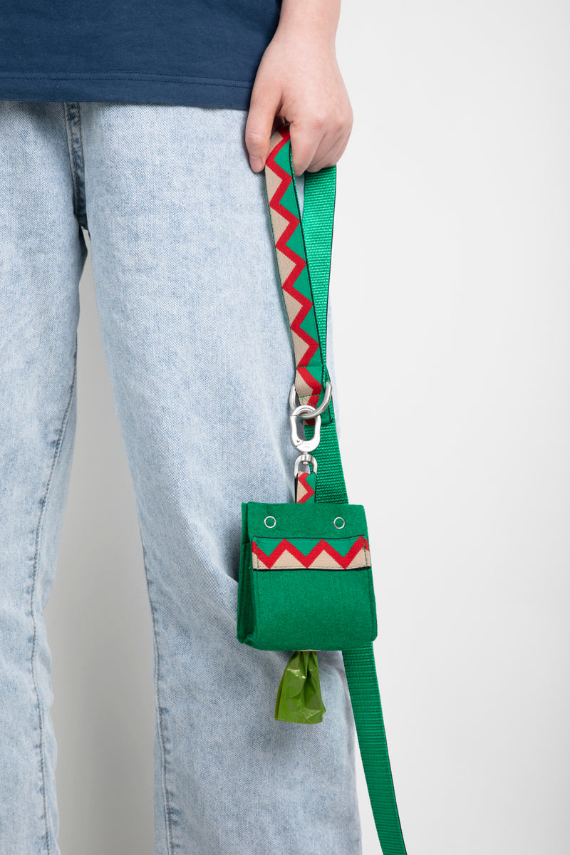 Laisse pour chien HiDREAM Rainbow avec anneau en D