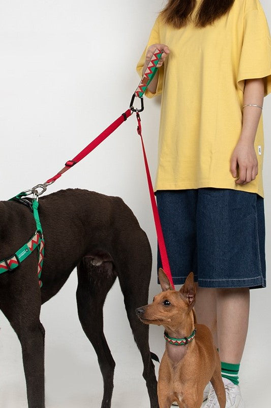 HiDREAM Regenbogen Doppel-Hundeleinen-Kuppler