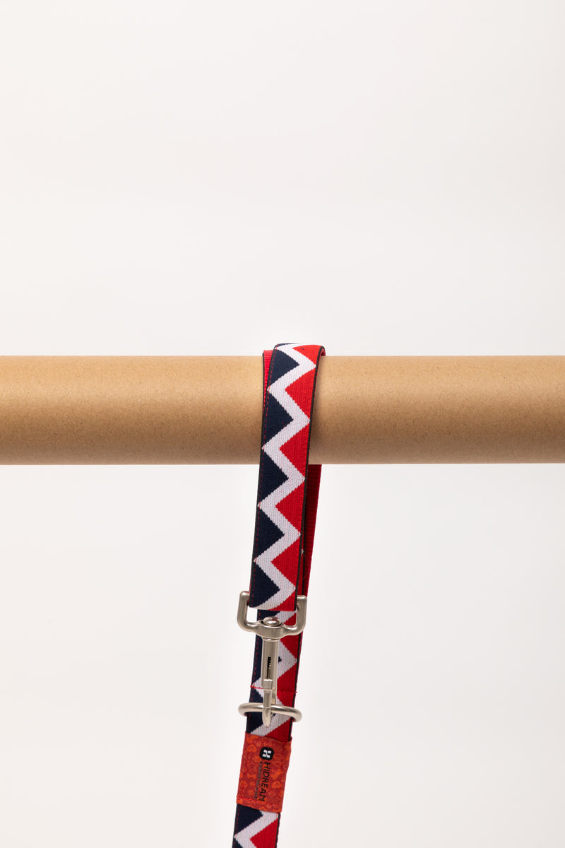 HiDREAM Rainbow Hands-Free Dog Leash