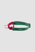 HiDREAM Rainbow Shock-Absorbing Dog Collar