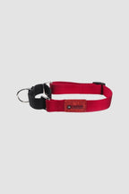 HiDREAM Rainbow Shock-Absorbing Dog Collar
