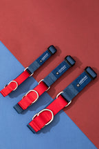 HiDREAM Rainbow Shock-Absorbing Dog Collar