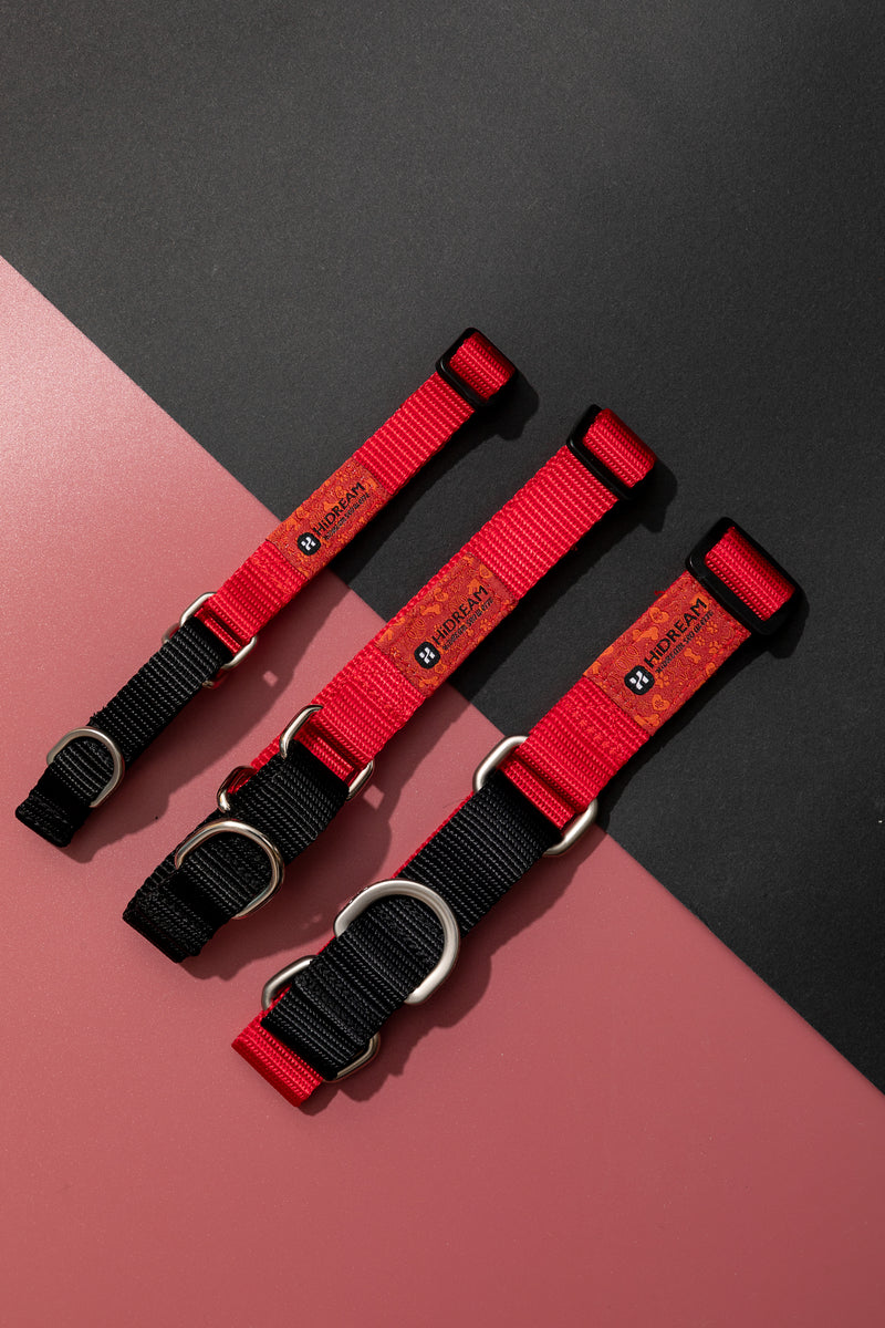 Collar para Perro HiDREAM Rainbow con Absorción de Impactos