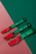 HiDREAM Rainbow Shock-Absorbing Dog Collar