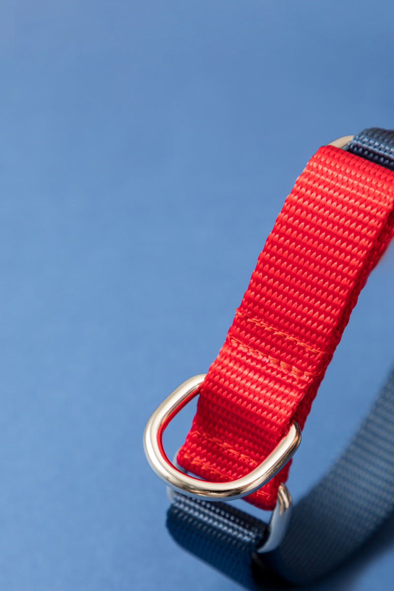 Collar para Perro HiDREAM Rainbow con Absorción de Impactos