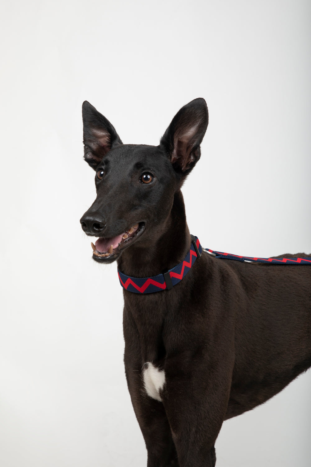 HiDREAM Rainbow Soft Touch Dog Collar