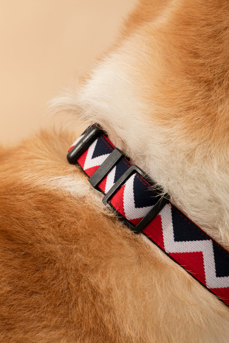 HiDREAM Rainbow Soft Touch Dog Collar