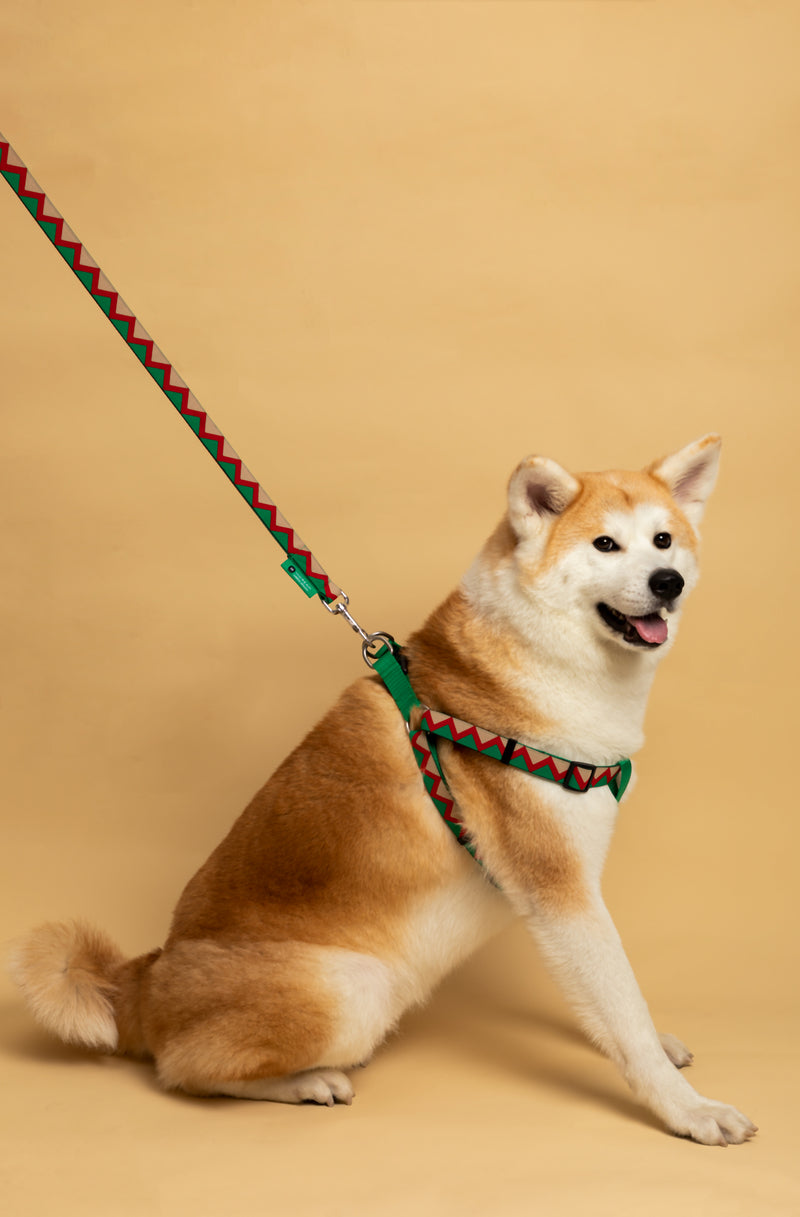 Harnais pour chien en forme de Y HiDREAM Rainbow