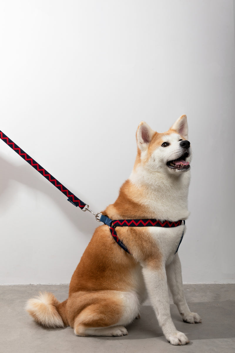 Harnais pour chien en forme de Y HiDREAM Rainbow