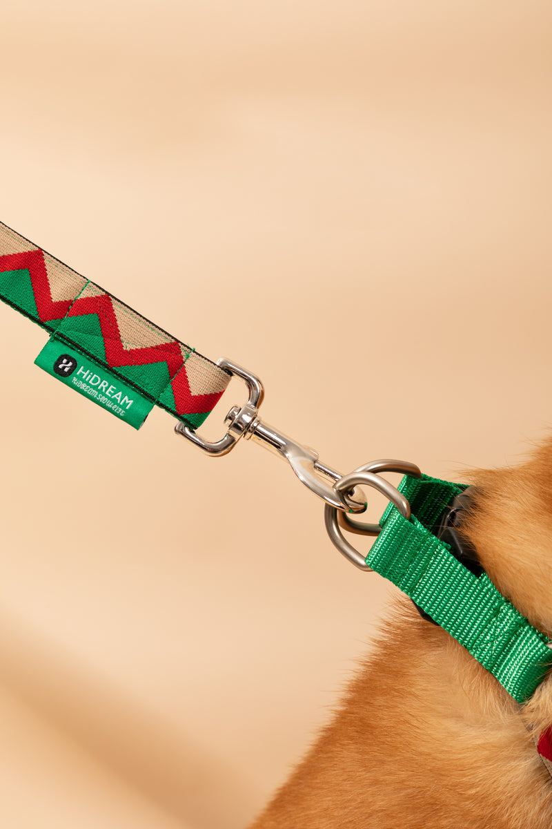 Harnais pour chien en forme de Y HiDREAM Rainbow