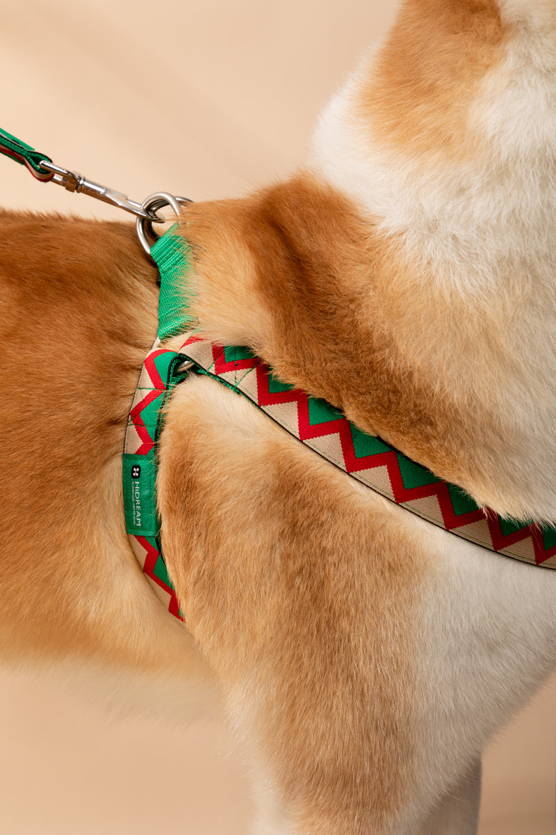 Harnais pour chien en forme de Y HiDREAM Rainbow