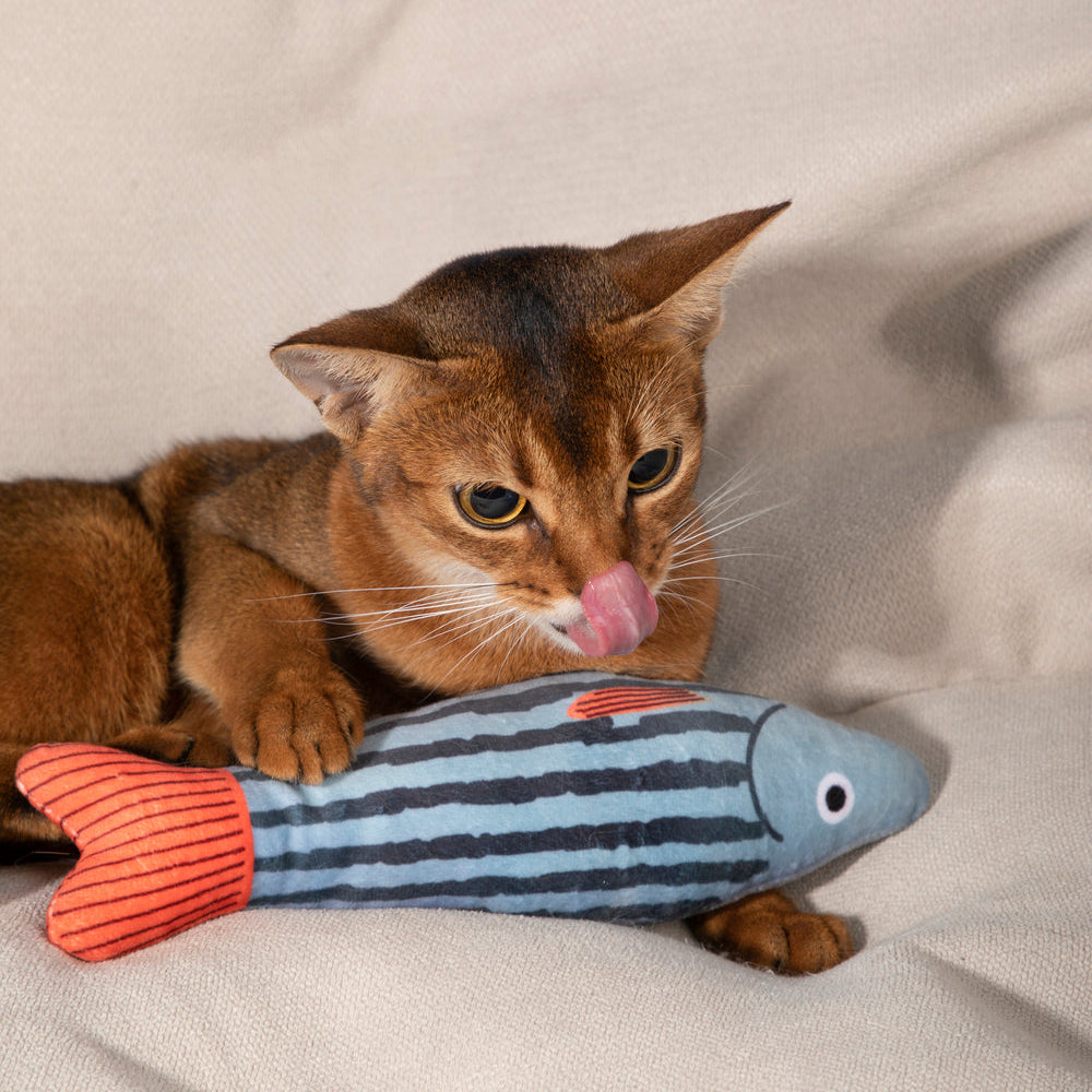 HiDREAM Ripple Striper Catnip Kicker Toy with Bell