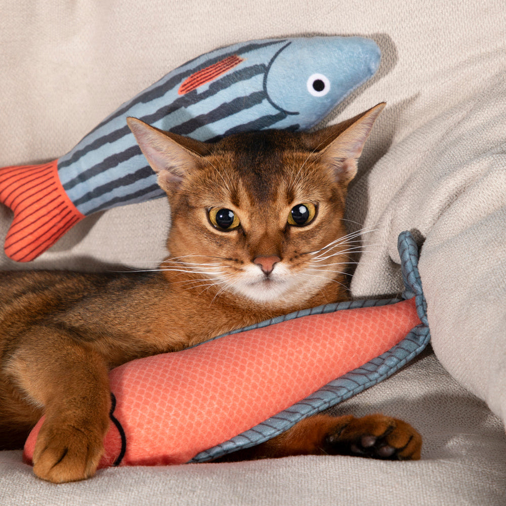 HiDREAM Ripple Striper Catnip Kicker Toy with Bell