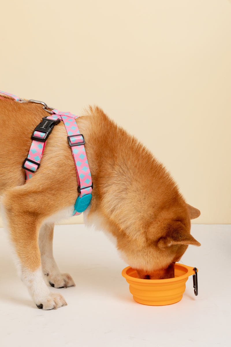 HiDREAM Silicone Travel Collapsible Dog & Cat Bowl 600ml