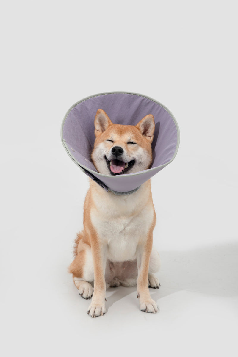 HiDREAM Snap-On Cone Large Dog & Cat Elizabethan Collar