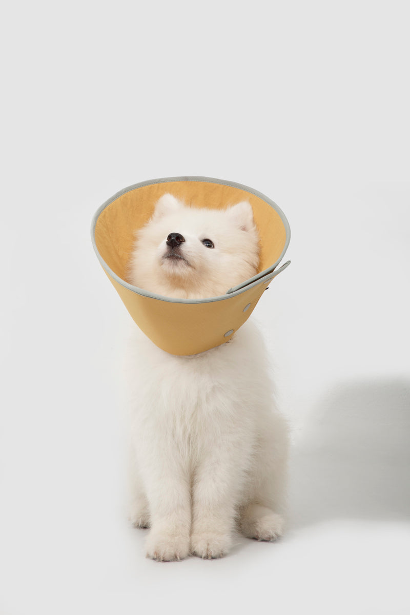 HiDREAM Snap-On Cone Large Dog & Cat Elizabethan Collar