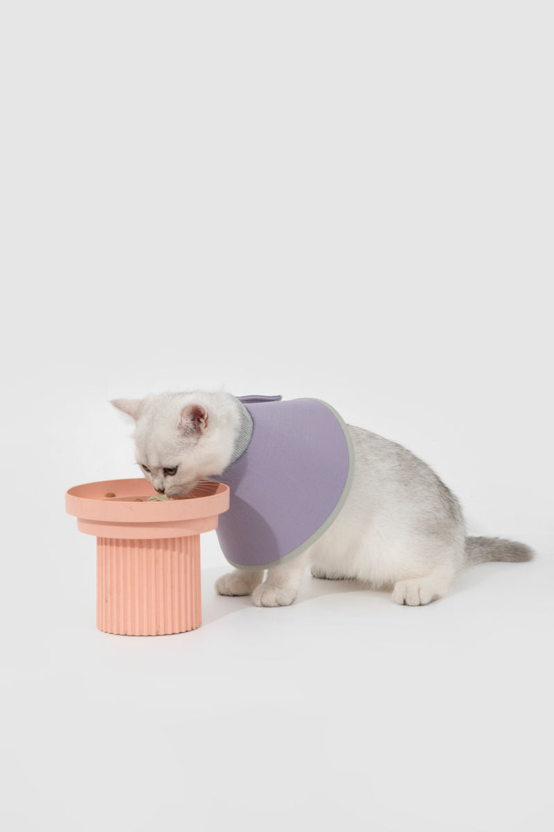 HiDREAM Snap-On Cone Large Dog & Cat Elizabethan Collar