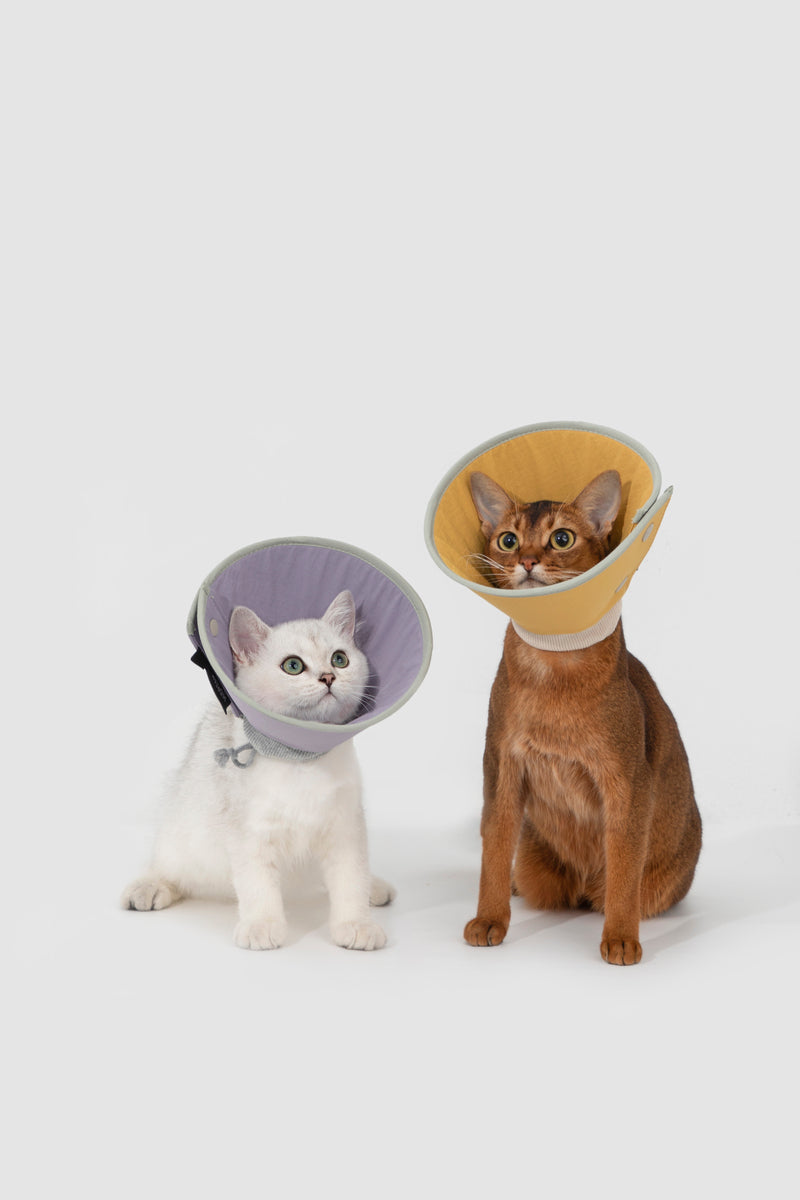 HiDREAM Snap-On Cone Large Dog & Cat Elizabethan Collar