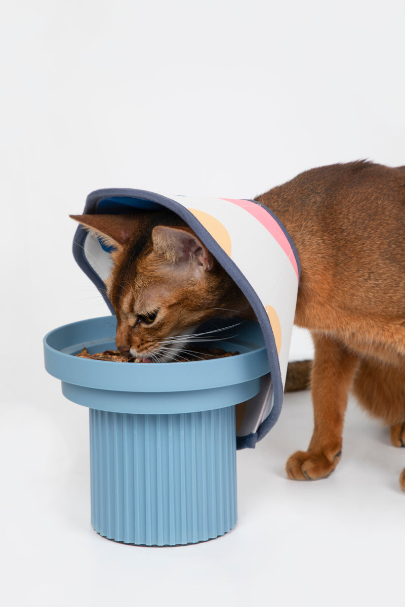HiDREAM Soft Cone Dog & Cat Elizabethan Collar