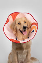 HiDREAM Soft Cone Dog & Cat Elizabethan Collar