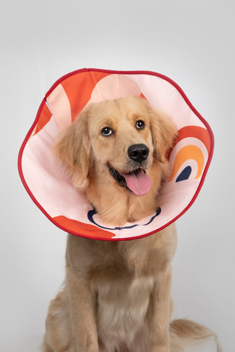 HiDREAM Soft Cone Dog & Cat Elizabethan Collar