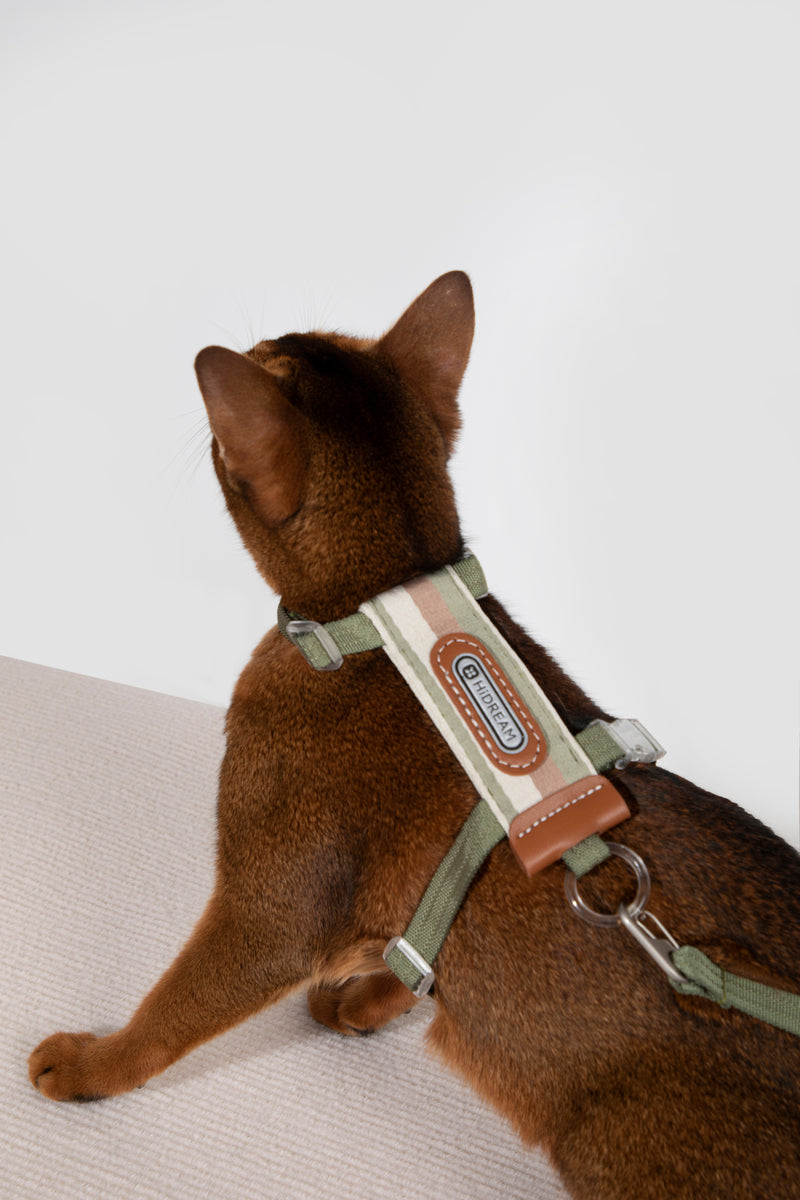 HiDREAM Striped H-Type Cat Harness & Leash Set