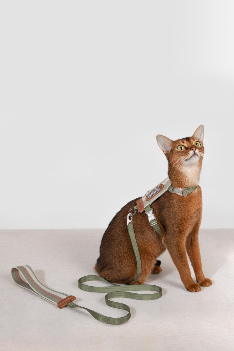 HiDREAM Striped H-Type Cat Harness & Leash Set