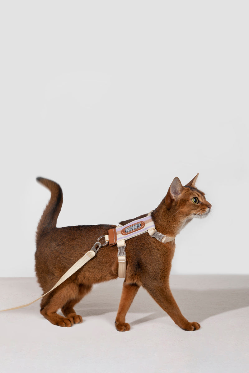 HiDREAM Striped H-Type Cat Harness & Leash Set