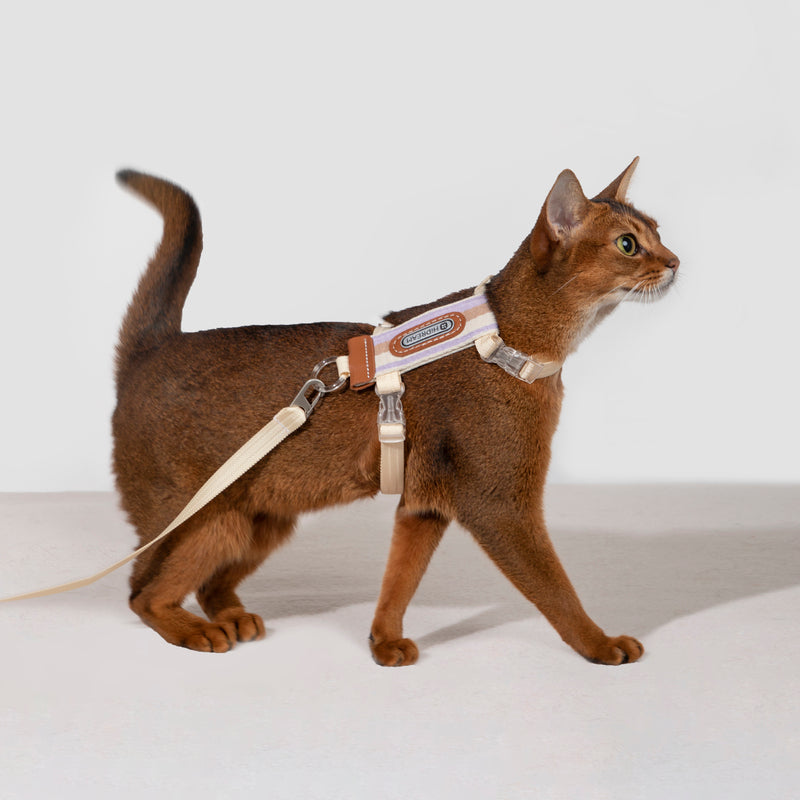 HiDREAM Striped H-Type Cat Harness & Leash Set