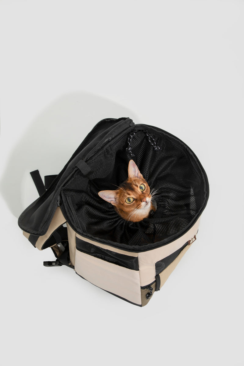 HiDREAM Tote Pet Carrier Backpack For Dogs & Cats